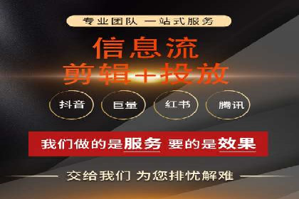 某电商平台的SEM推广实践与效果展示